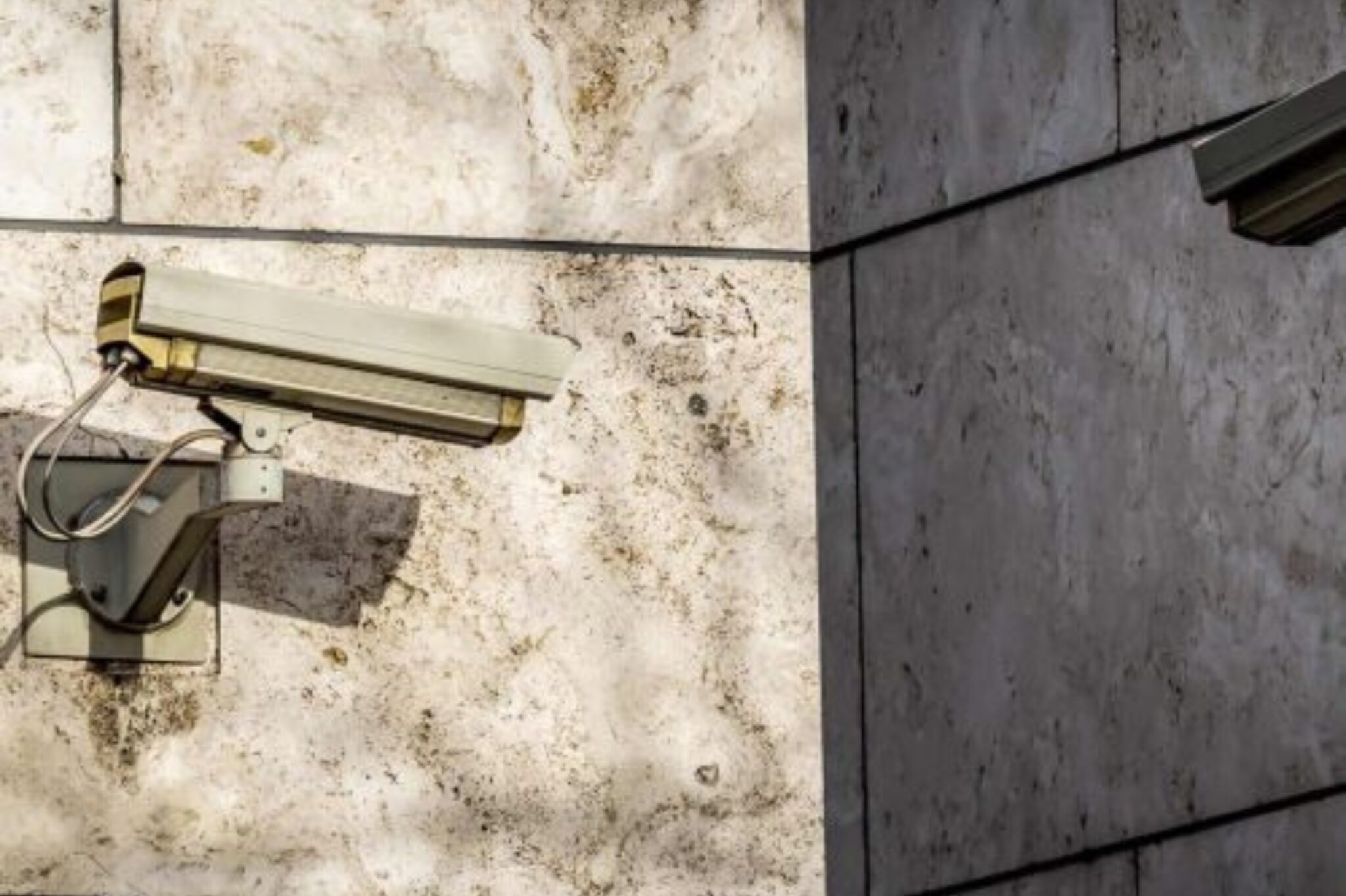 security guard services